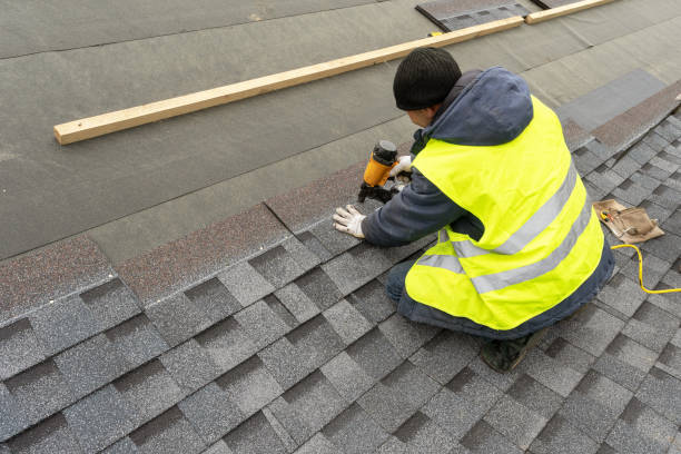 Best Roof Leak Repair  in Mayer, MN