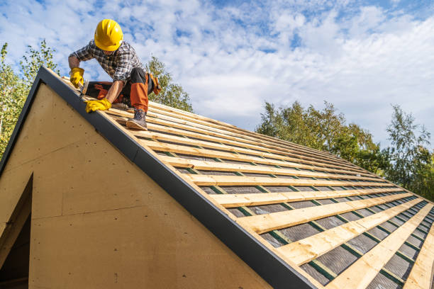 Best Roof Waterproofing Services  in Mayer, MN