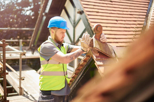 Best Storm Damage Roof Repair  in Mayer, MN